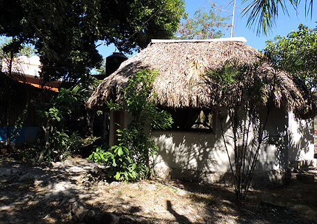 La Selva Cabins, Conhuas, Calakmul, Campeche