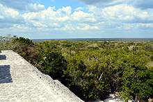 Vista de la Reserva Biósfera Calakmul, hospedaje Cabañas La Selva, Campeche