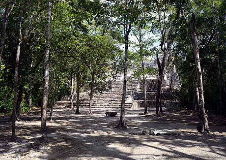 Cabañas La Selva, Conhuas, Calakmul, Campeche