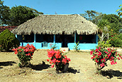 Restaurante La Selva, Reserva Biósfera Calakmul, Conhuas, Campeche