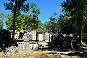 Calakmul Biosphere Reserve, La Selva Cabins and Restaurant, Conhuas, Campeche