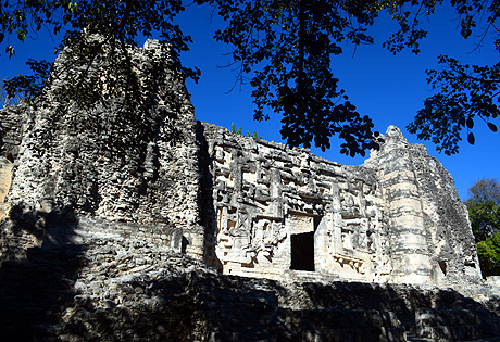Hormiguero, Reserva Biósfera de Calakmul, Campeche