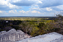 Vista desde un templo Maya, Reserva Biósfera Calakmul, Cabañas La Selva, Campeche
