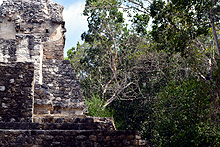 Vista de la Reserva Biósfera Calakmul, Cabañas La Selva, Campeche