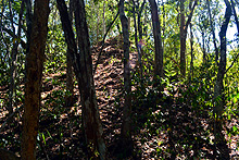 Reserva Biósfera Calakmul, Cabañas La Selva, Campeche