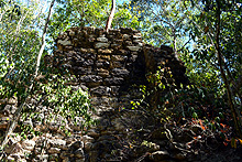 La selva en Hormiguero, Cabañas La Selva, Campeche