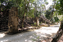 Calakmul Biosphere Reserve, La Sela Cabins, Campeche